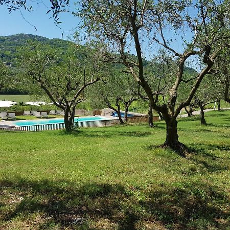 Il Vecchio Gelso - Agriturismo Rimini Montefiore Conca Villa Eksteriør bilde