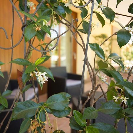 Il Vecchio Gelso - Agriturismo Rimini Montefiore Conca Villa Eksteriør bilde