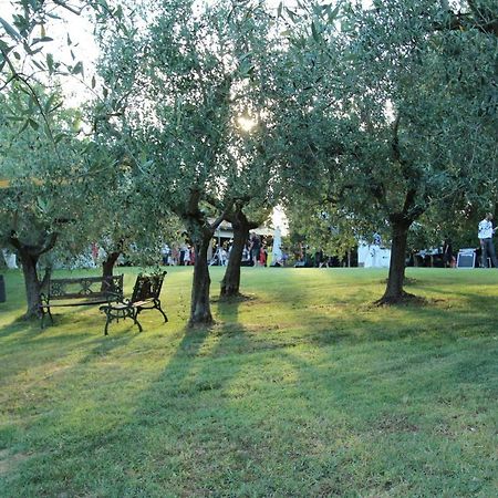 Il Vecchio Gelso - Agriturismo Rimini Montefiore Conca Villa Eksteriør bilde