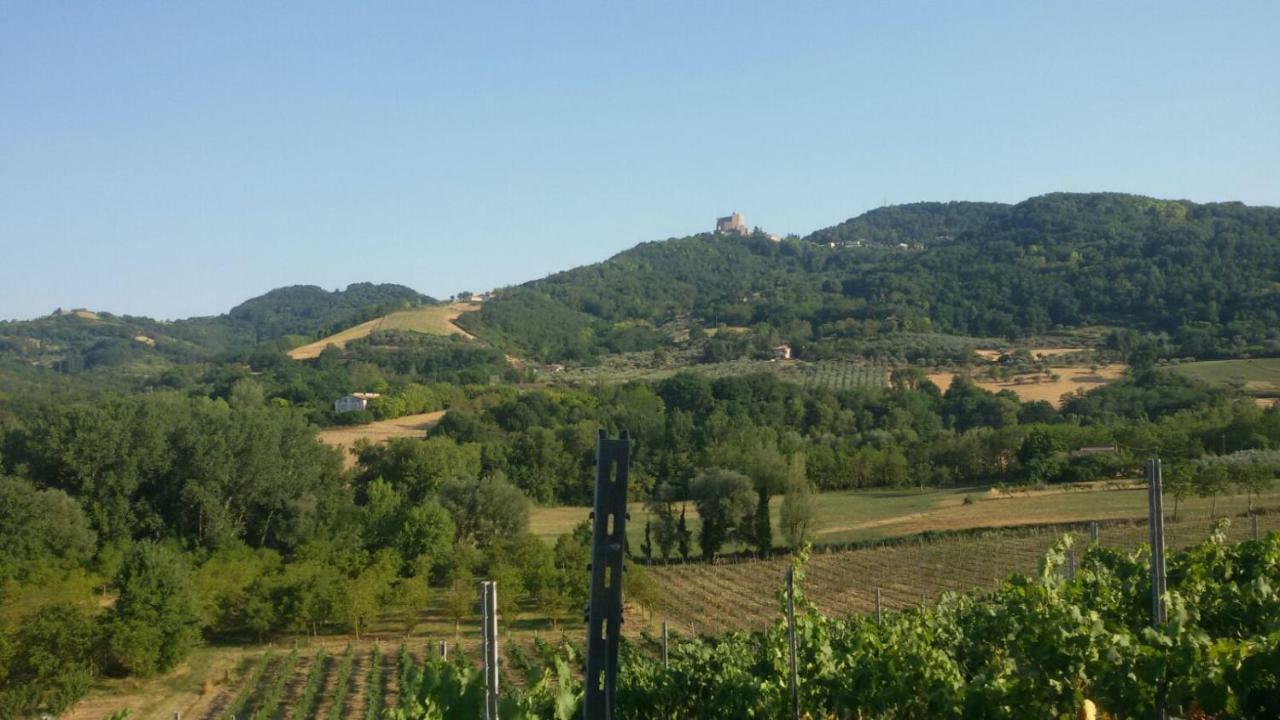 Il Vecchio Gelso - Agriturismo Rimini Montefiore Conca Villa Eksteriør bilde