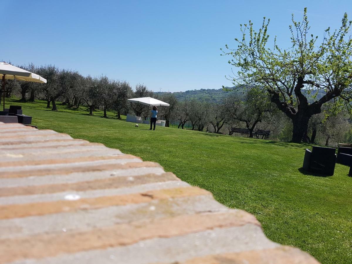 Il Vecchio Gelso - Agriturismo Rimini Montefiore Conca Villa Eksteriør bilde