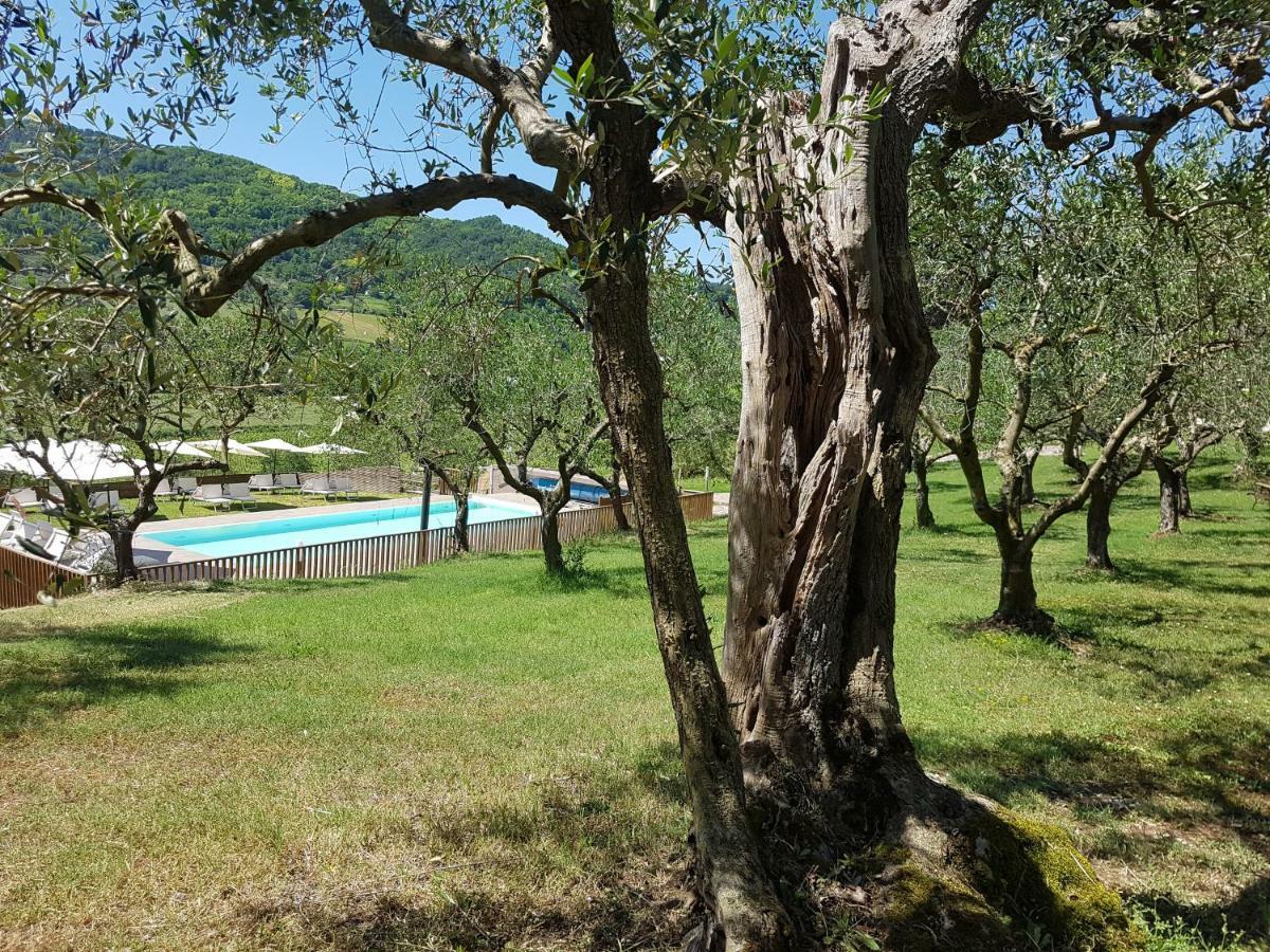 Il Vecchio Gelso - Agriturismo Rimini Montefiore Conca Villa Eksteriør bilde