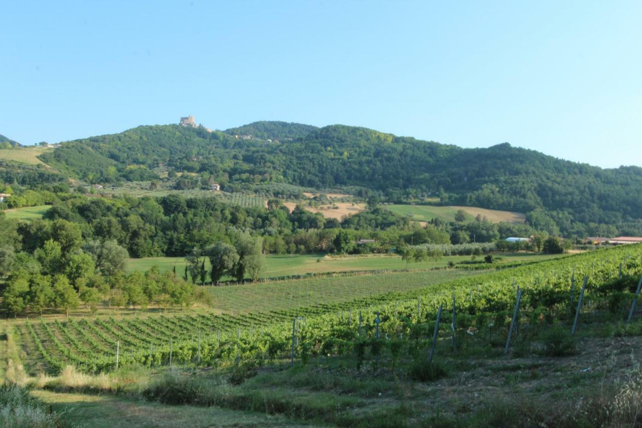 Il Vecchio Gelso - Agriturismo Rimini Montefiore Conca Villa Eksteriør bilde