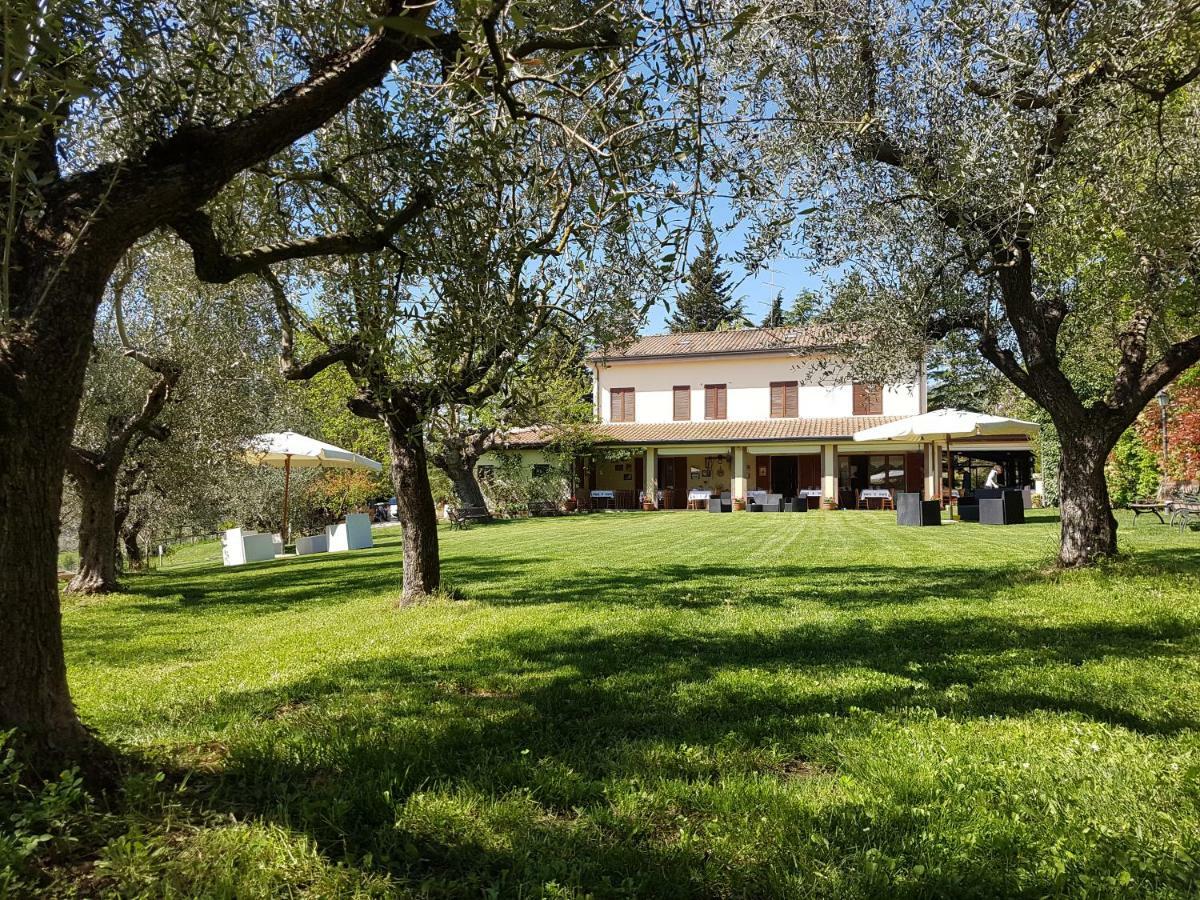 Il Vecchio Gelso - Agriturismo Rimini Montefiore Conca Villa Eksteriør bilde
