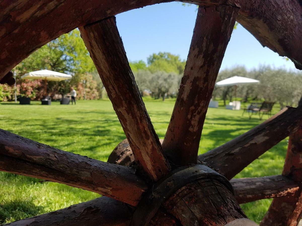 Il Vecchio Gelso - Agriturismo Rimini Montefiore Conca Villa Eksteriør bilde