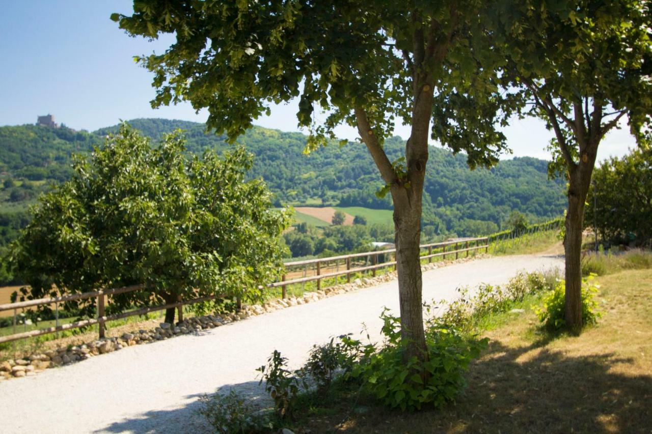 Il Vecchio Gelso - Agriturismo Rimini Montefiore Conca Villa Eksteriør bilde