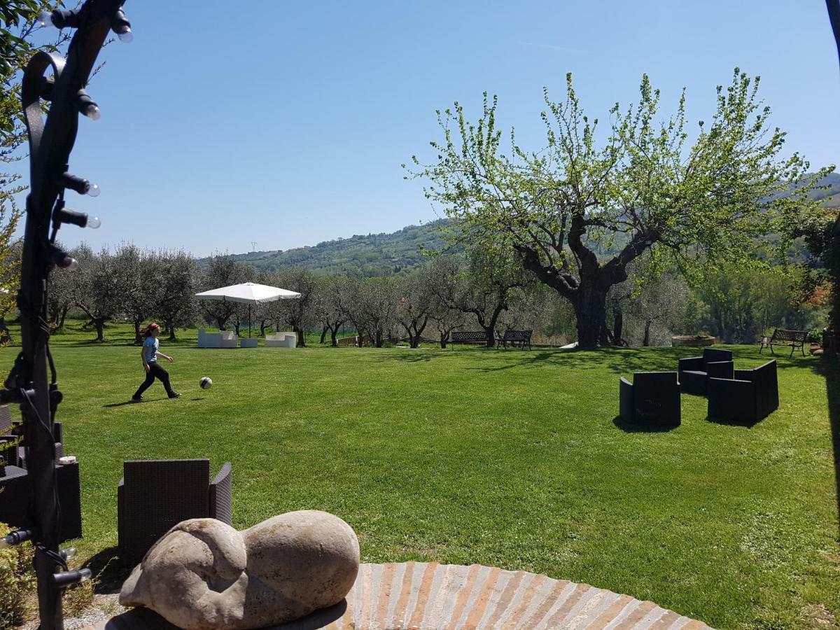Il Vecchio Gelso - Agriturismo Rimini Montefiore Conca Villa Eksteriør bilde