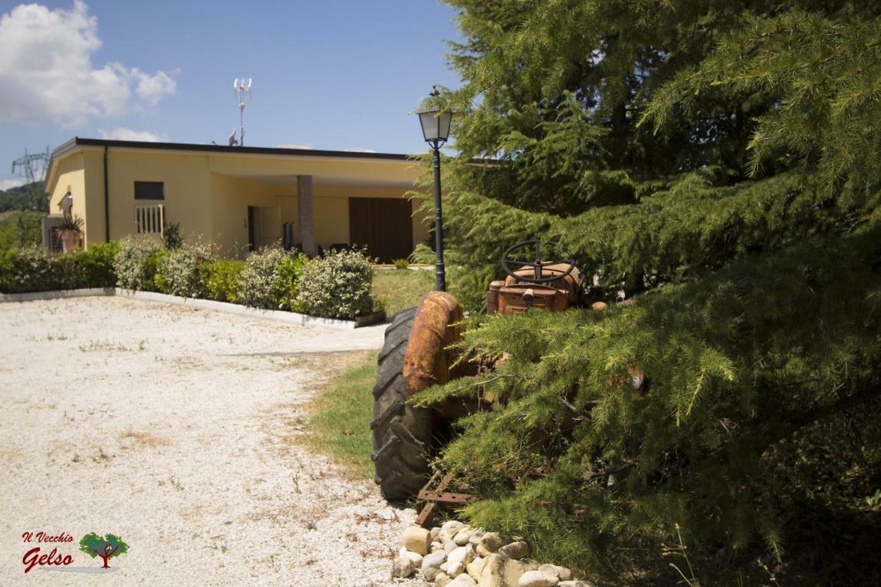 Il Vecchio Gelso - Agriturismo Rimini Montefiore Conca Villa Eksteriør bilde