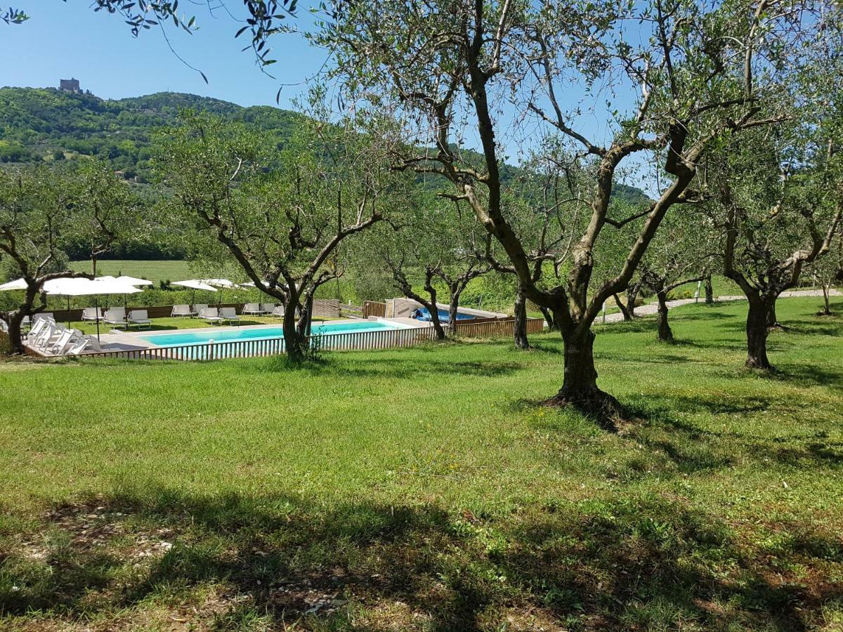 Il Vecchio Gelso - Agriturismo Rimini Montefiore Conca Villa Eksteriør bilde