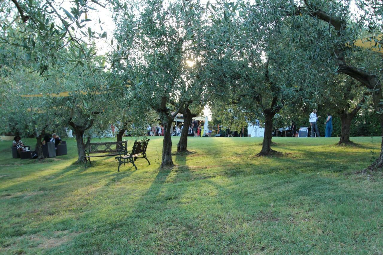 Il Vecchio Gelso - Agriturismo Rimini Montefiore Conca Villa Eksteriør bilde