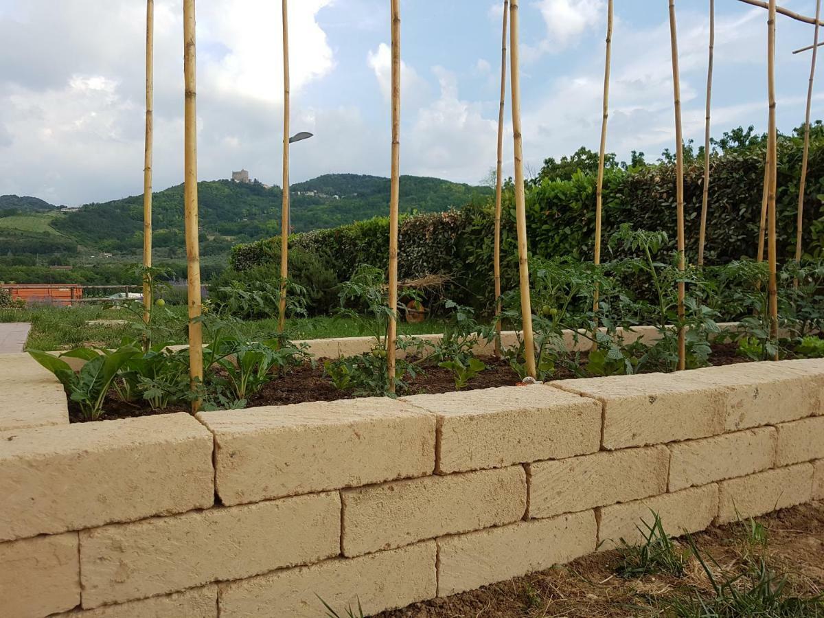 Il Vecchio Gelso - Agriturismo Rimini Montefiore Conca Villa Eksteriør bilde