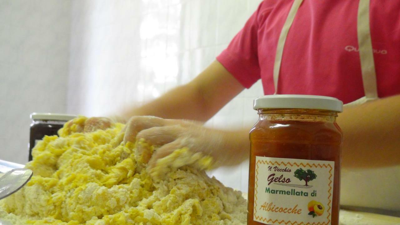 Il Vecchio Gelso - Agriturismo Rimini Montefiore Conca Villa Eksteriør bilde
